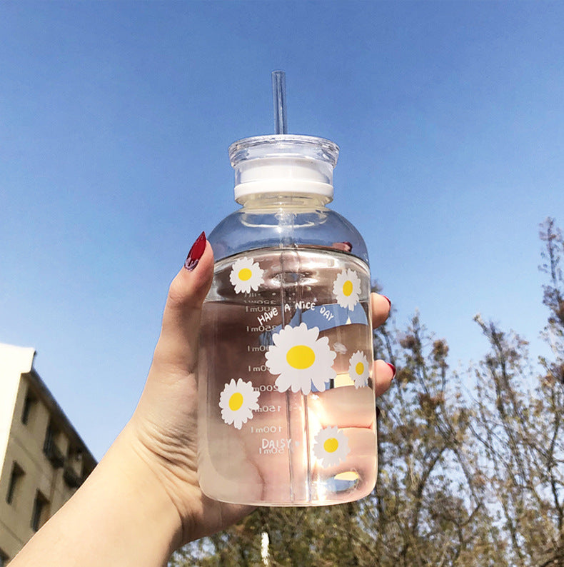 Una taza de vidrio de borosilicato de alta calidad con tapa doble de verano, resistente a altas temperaturas, taza de agua con pajita graduada, taza esmerilada Daisy, venta al por mayor 