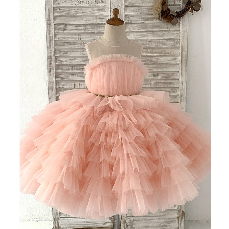 Pink Girl Dress Skirt Cross Border Children's Wedding Dress Puffy Princess Dress eBay Little Flower Boy Birthday Piano Performance Dress 0.6kg