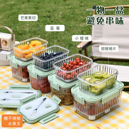 A summer mobile small refrigerator fresh-keeping box for fruit outings, elementary school student bento box with built-in ice box, cold food box