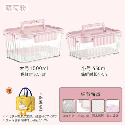 A summer mobile small refrigerator fresh-keeping box for fruit outings, elementary school student bento box with built-in ice box, cold food box