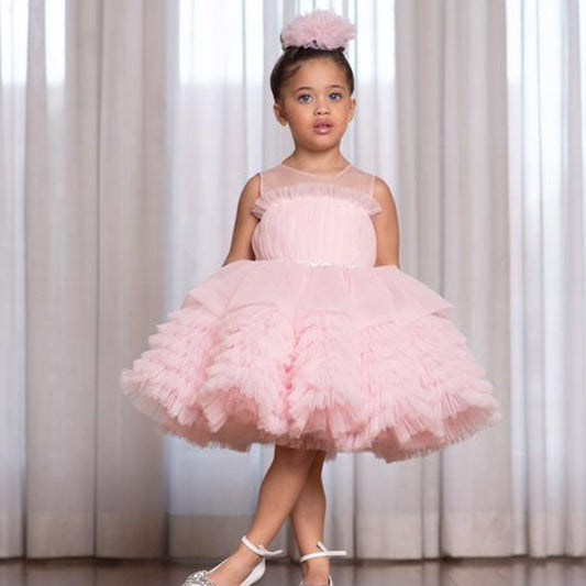 Pink Girl Dress Skirt Cross Border Children's Wedding Dress Puffy Princess Dress eBay Little Flower Boy Birthday Piano Performance Dress 0.6kg