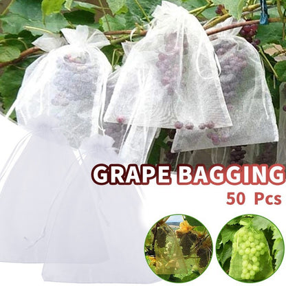 Bolsa de malla transfronteriza, bolsa a prueba de insectos para frutas, bolsa a prueba de pájaros, bolsa de malla de gasa reutilizable para tomates, berenjenas, uvas y manzanas. MOQ: 500 PIEZAS 