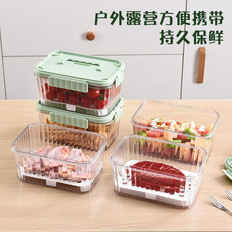 A summer mobile small refrigerator fresh-keeping box for fruit outings, elementary school student bento box with built-in ice box, cold food box