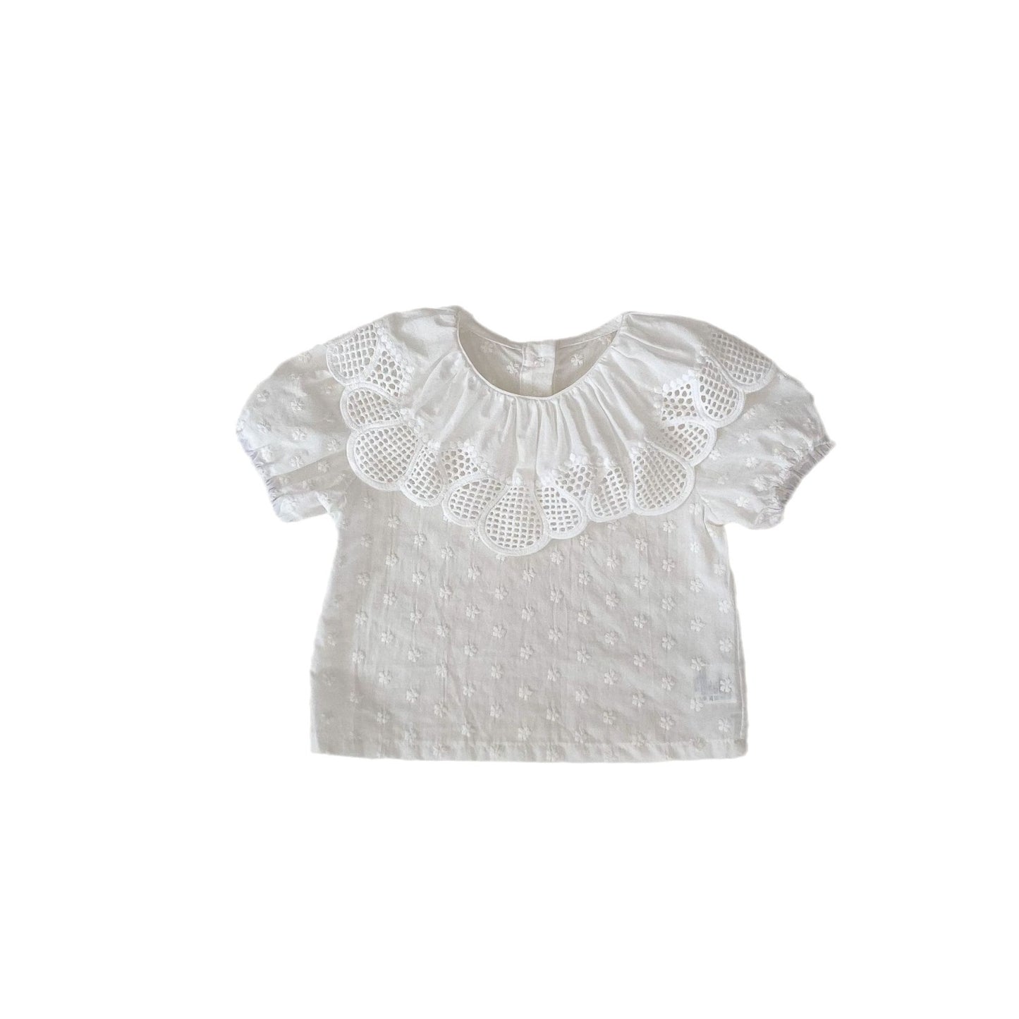 A 2024 Summer Baby Girl Sweet and Versatile Big Lace Collar Embroidered Small Flower Bubble Short sleeved Top with Bottom